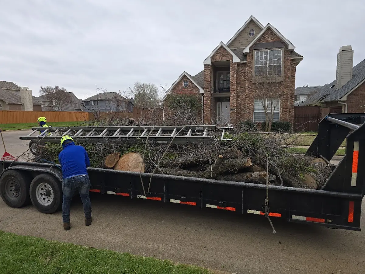 Expert Tree Removal with proper safety equipment in North Hampton